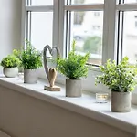 Lejlighed Luxus Sauna Balkon Kueche Zentral *