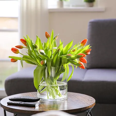 Luxus Sauna Balkon Kueche Zentral